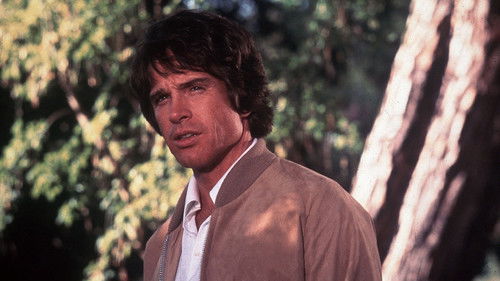 Der Himmel soll warten Bild 6