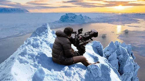 Den Eisbären so nah Bild 4