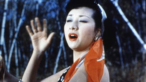 カルメン故郷に帰る Bild 2