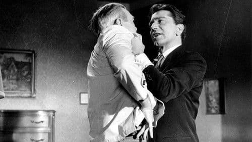 Hyänen der Straße Bild 8