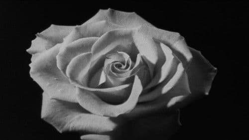 Que Farei eu com Esta Espada? Bild 4