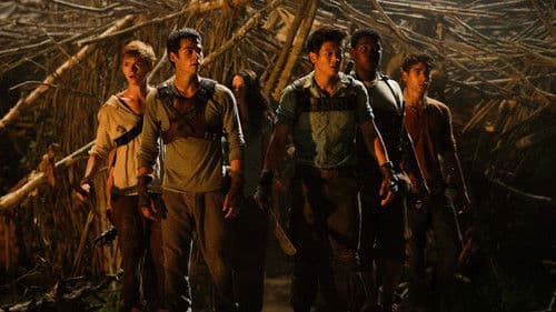Maze Runner - Die Auserwählten im Labyrinth Bild 8
