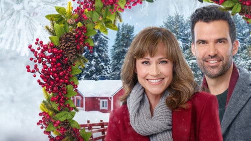 Cranberry Christmas Bild 3