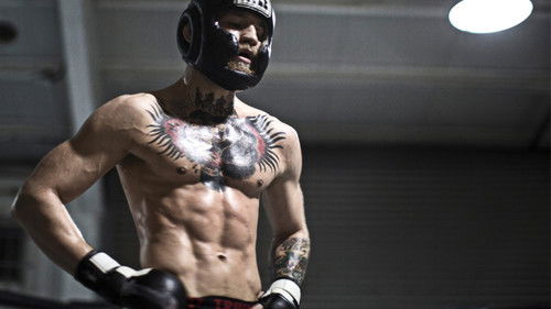 The Notorious Bild 4