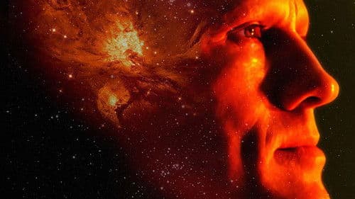 The Zero Theorem Bild 2