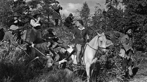 Harald Handfaste Bild 2