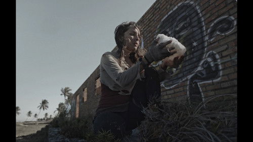 Não Nos Deixeis Bild 4