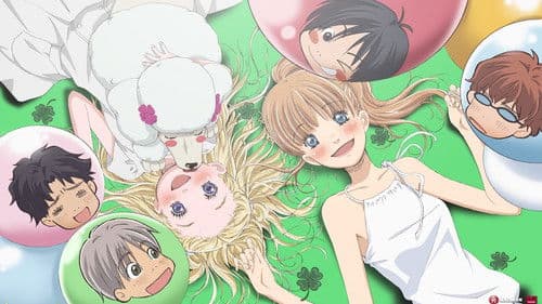 Honey and Clover Bild 3