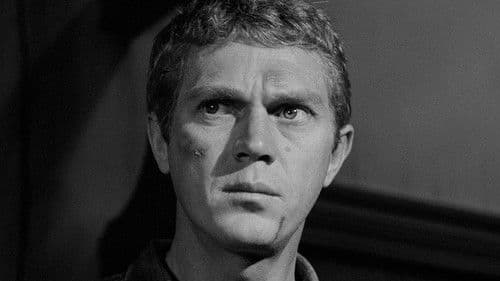 Die Lady und der Tramp Bild 8