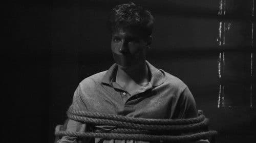 THE VON STEINS Bild 1