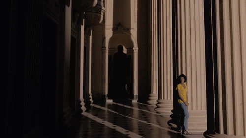 Pássaro Memória Bild 2