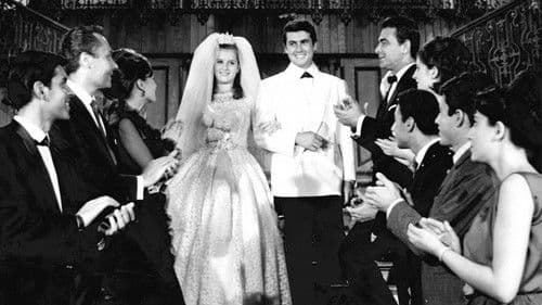 Posta Güvercini Bild 2