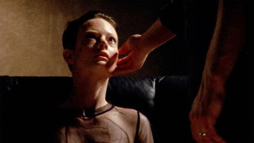 Black Eyed Susan Bild 2