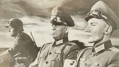 The North Star Bild 7