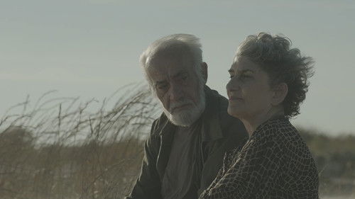 As Horas de Luz Bild 6