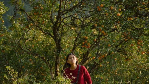 Shape of Momo Bild 2