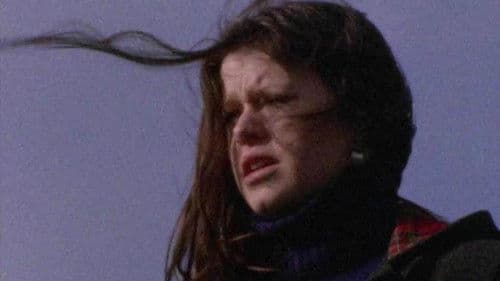 Pebbles in the Flood Bild 1