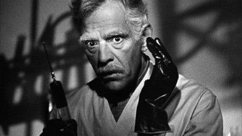 Before I Hang Bild 3