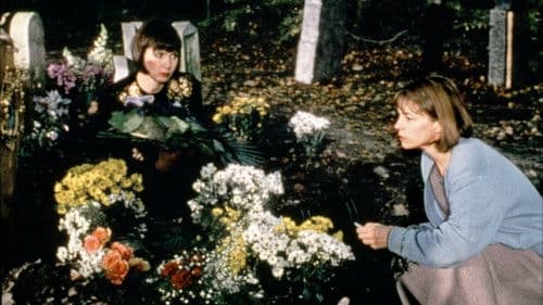 Schwarz wie die Erinnerung Bild 1