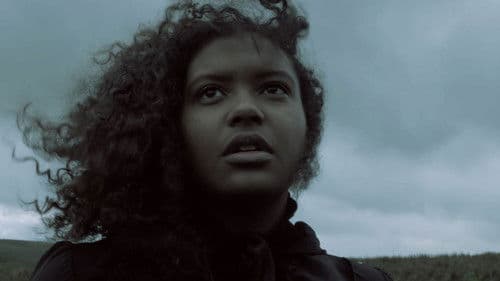 The Sycamore Gap Bild 2