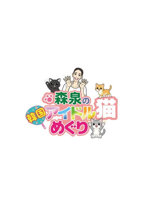 森泉の韓国アイドル猫めぐり