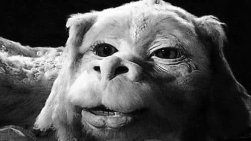 Die unendliche Geschichte III - Rettung aus Phantásien Bild 3