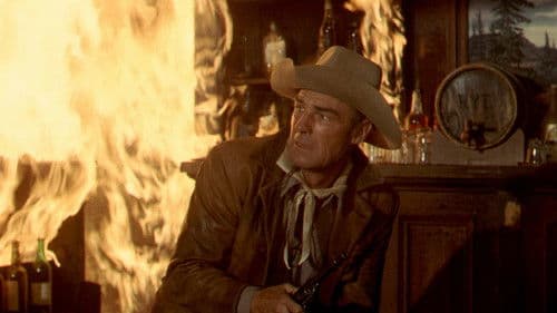 Der schweigsame Fremde Bild 5