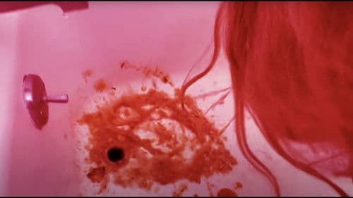 THE ANTHOLOGY Lost Tapes: FROM A DUMPSTER Bild 4