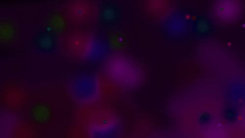 The White Canvases of John Grey Bild 1