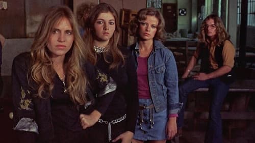 Die Bronx-Katzen Bild 3