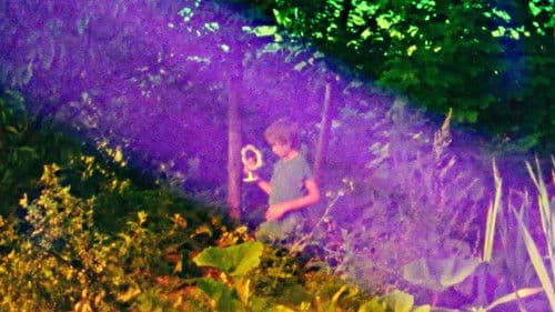 Het dak van de Walvis Bild 1