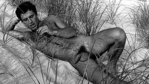 Rip Colt's Sex Rated Home Movies 2 Bild 3