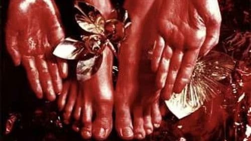 L'enfant qui a pissé des paillettes Bild 1