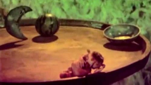 საზამთრო Bild 2