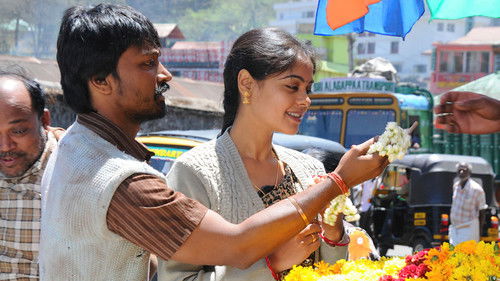 கழுகு Bild 6