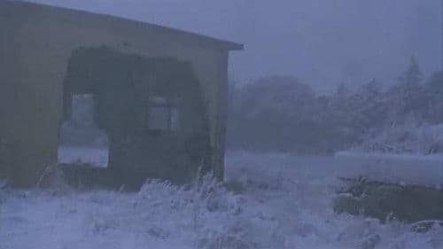 Made in Israel Bild 6