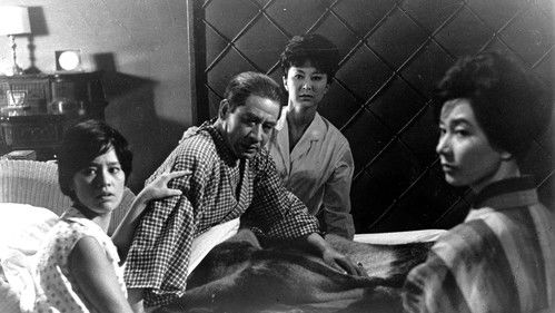 からみ合い Bild 4