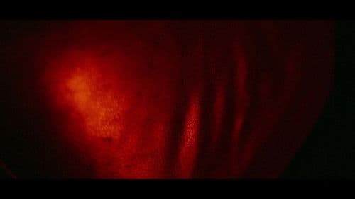 Flesh, Board, and Nails Bild 1