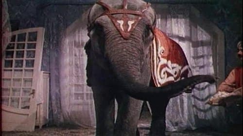 И вот пришёл Бумбо... Bild 1