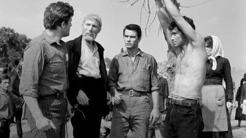 Blutendes Land Bild 5