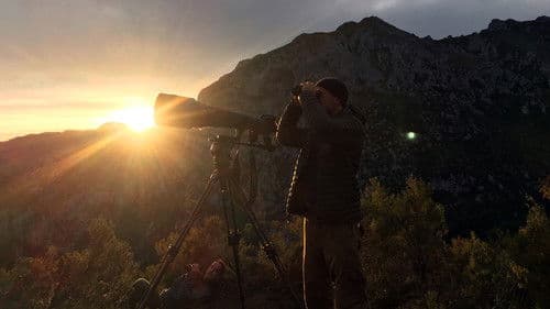 Vincent Munier, éternel émerveillé Bild 4