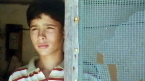 Uma Pedra no Bolso Bild 4