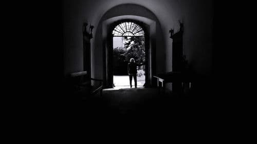 Come la notte Bild 5