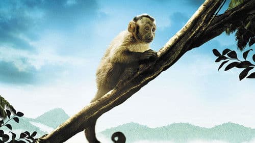 Amazonia - Abenteuer im Regenwald Bild 2