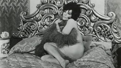 3 Nuts in Search of a Bolt Bild 3