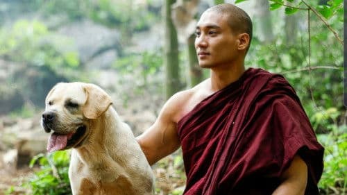 ကံကောင်း Bild 1