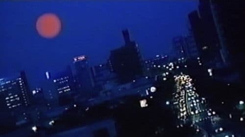 Turtle Vision Bild 6