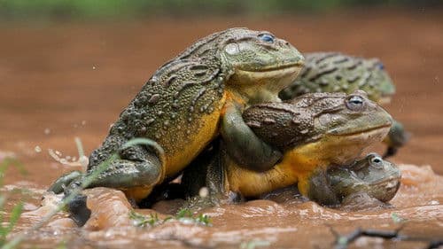 Planet der Liebe Bild 6