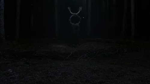 Desde Adentro Bild 1