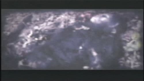 Mountain Devil Bild 1